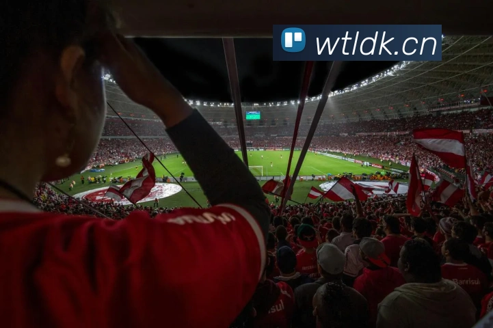 多媒体互动体验